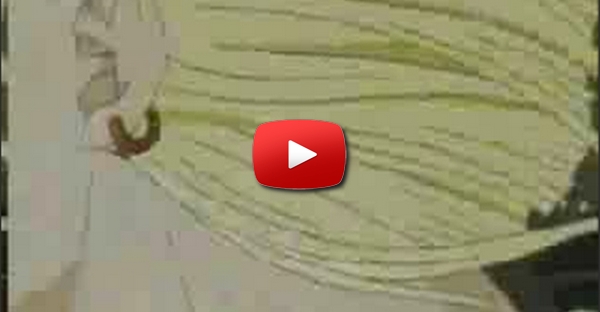 Dragon Ball Z Ultimatle Battle 22